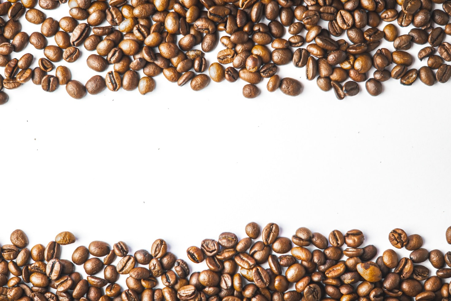 How Sustainability Shapes the Future of Coffee